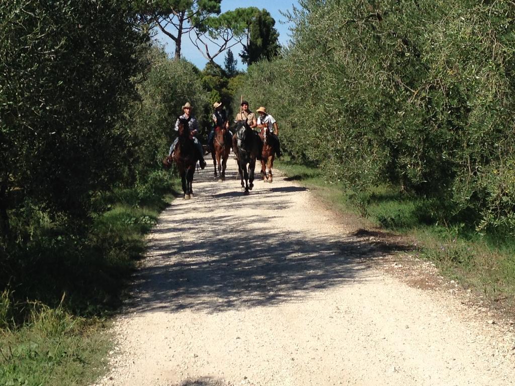 Fattoria Lucciano Villa Borghetto  Eksteriør bilde