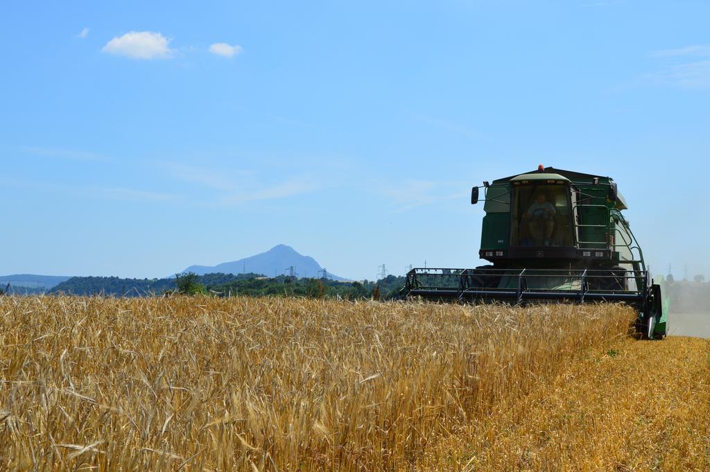 Fattoria Lucciano Villa Borghetto  Eksteriør bilde