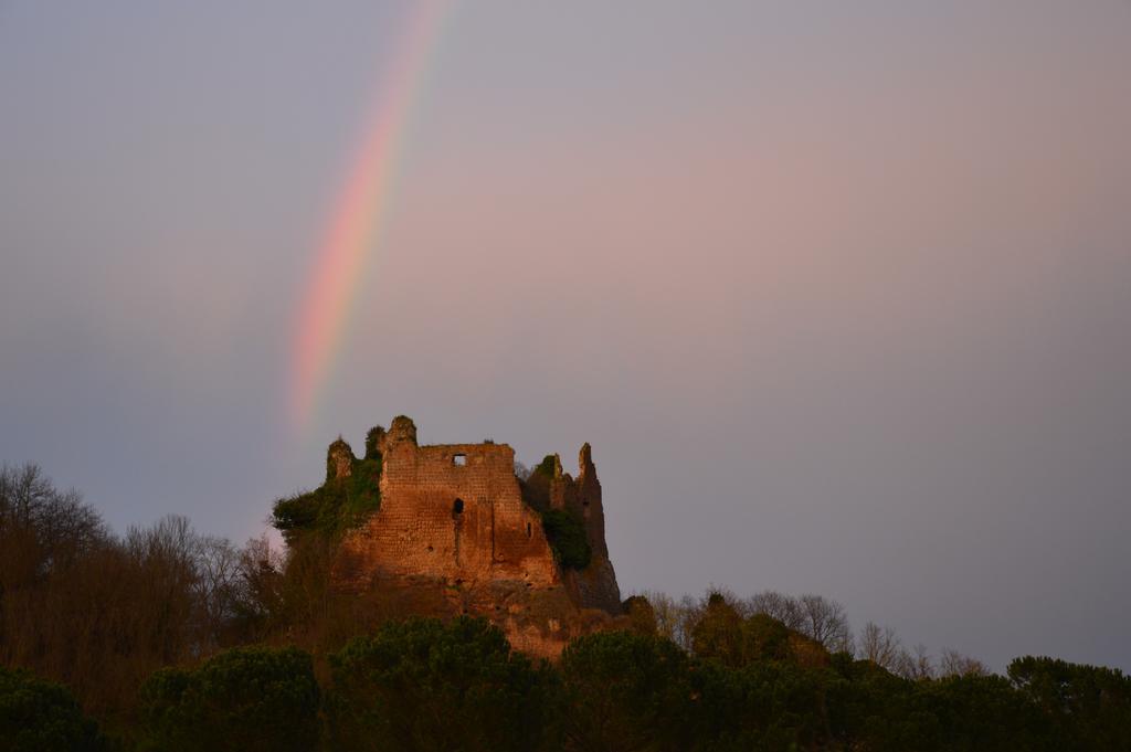 Fattoria Lucciano Villa Borghetto  Eksteriør bilde