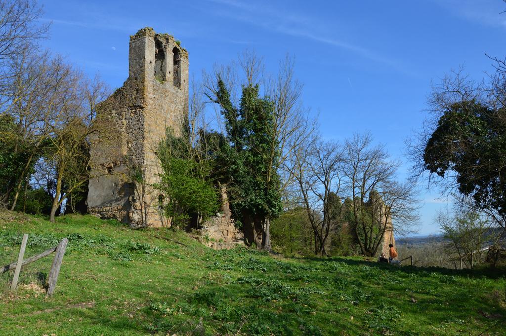 Fattoria Lucciano Villa Borghetto  Eksteriør bilde
